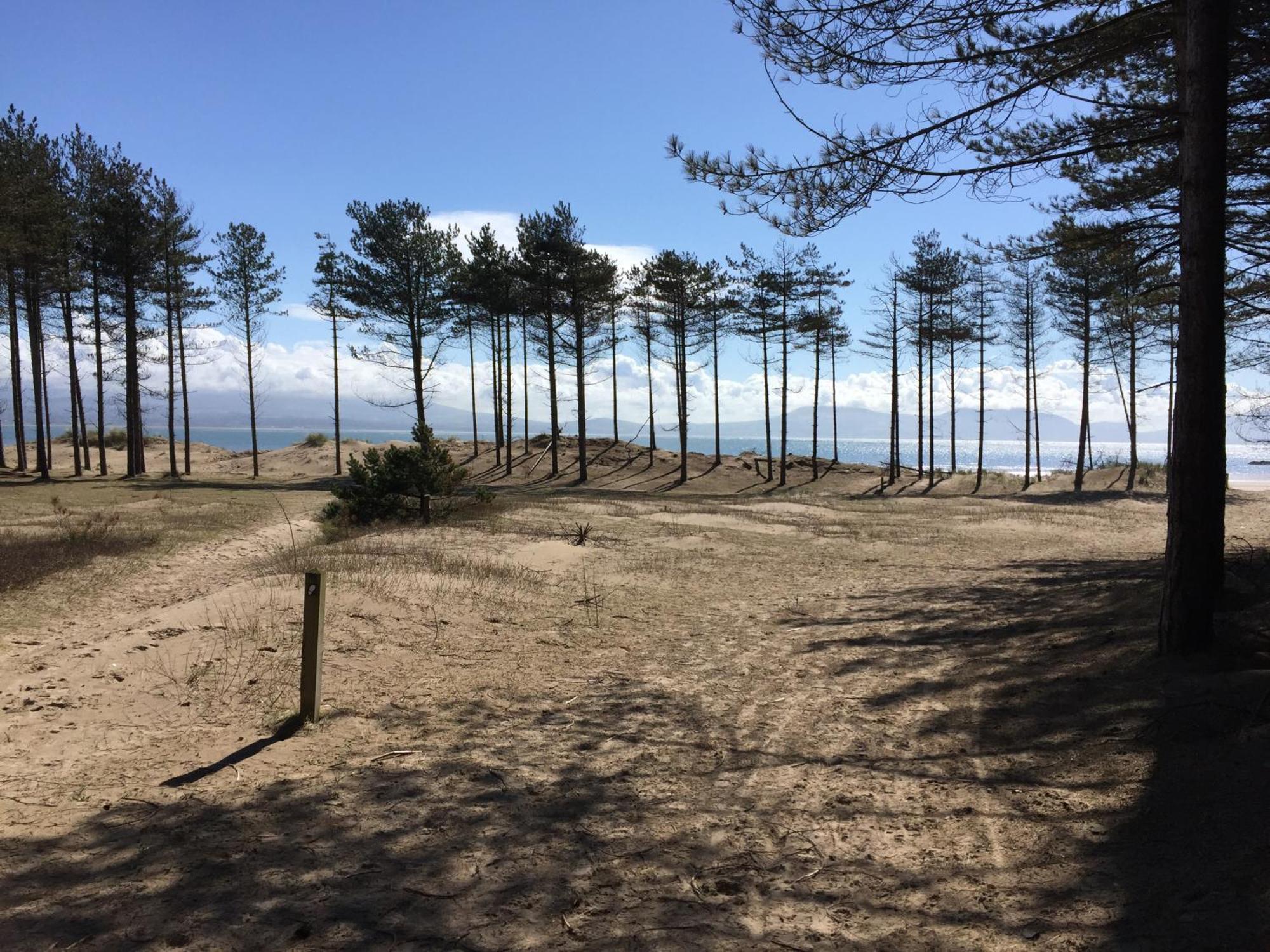 Llanw Malltraeth - Malltraeth Tides Llangadwaladr  Kültér fotó